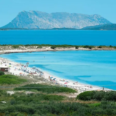 Apartment Appartamento Li Menduli San Teodoro (Sardinia)